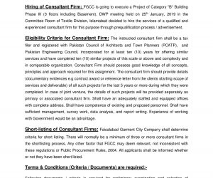 Terms and Conditions for Consultant Firm-page-001